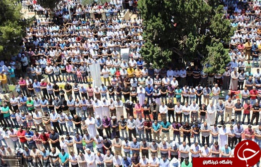 عکس/ نماز جمعه در مسجد الاقصی &lrm;