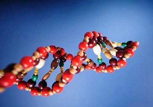 وجود &laquo;اطلاعات خاص تر&raquo; در DNA تایید شد