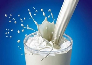 جوش زیاد می زنید؟ شیر پرچرب بخورید!