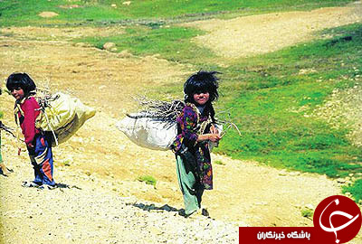 عکس هایی که بوی زندگی می دهد