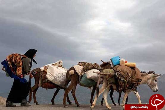 عکس هایی که بوی زندگی می دهد