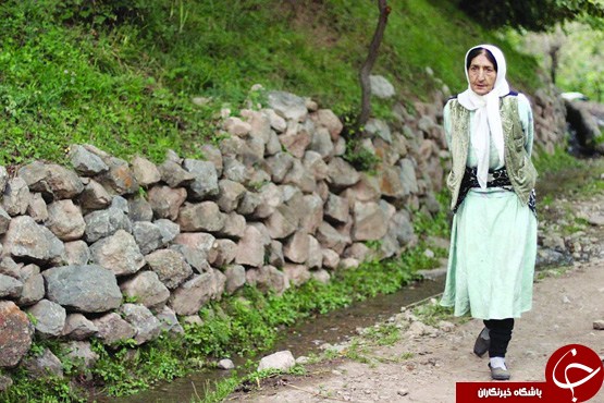 عکس هایی که بوی زندگی می دهد