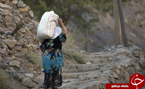 عکس هایی که بوی زندگی می دهد
