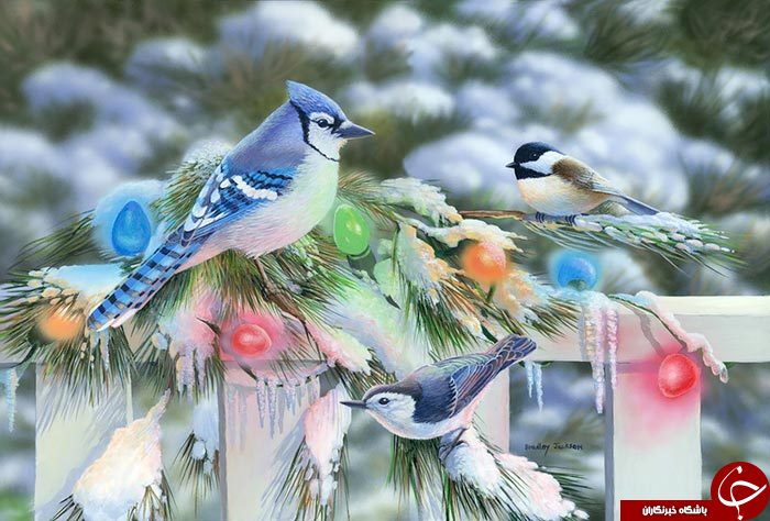 وقتی پرندگان روی بوم نقاشی لانه می کنند+تصاویر