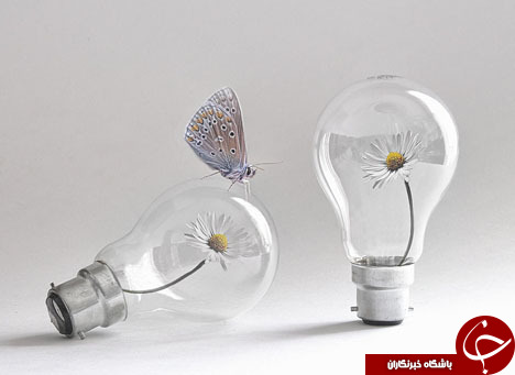 وقتی خلاقیت چاشنی عکاسی می شود