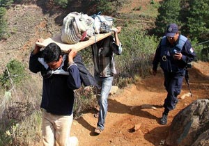 قتل 11 عضو یک خانواده در مکزیک
