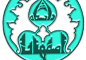 پرکارترین محققان کشور انتخاب شدند