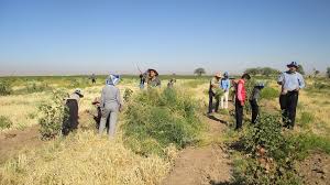 آغاز اردوی جهادی بسیج مهندسی استان زنجان