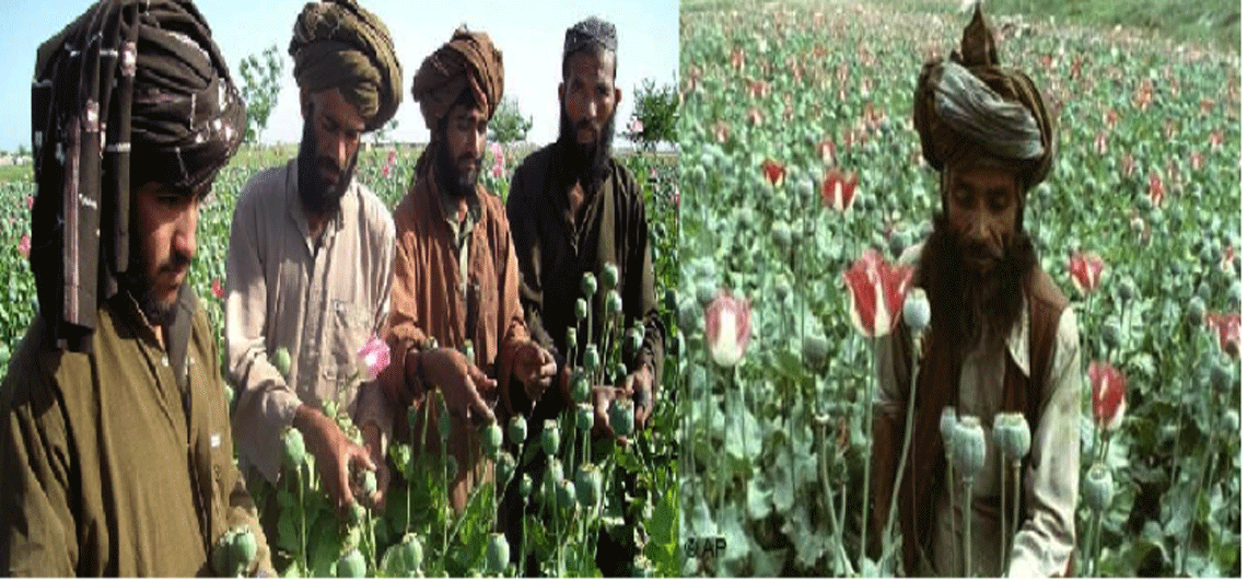جیب طالبان از چه راهی پر می&zwnj;شود + تصاویر