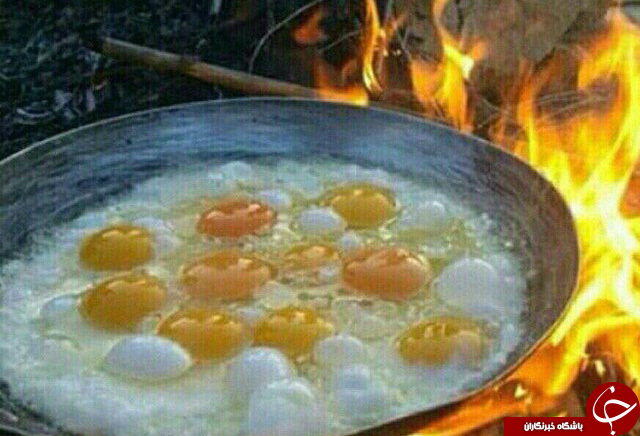 عکس هایی که بوی زندگی می&zwnj;دهند