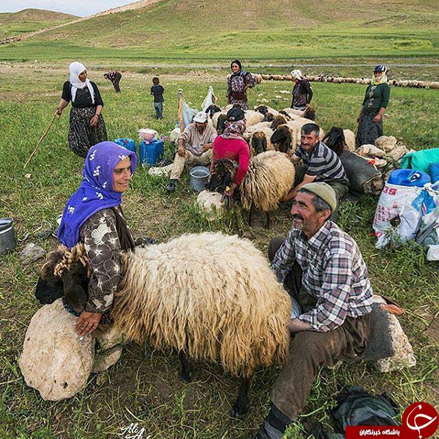 عکس هایی که بوی زندگی می&zwnj;دهند