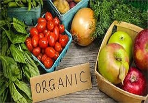 تولید مرکبات ارگانیک کمتر از یک دهم درصد است