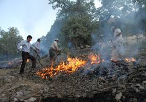 کاهش 95 درصدی آتش‎سوزی‌ در جنگل ها ومراتع لرستان
