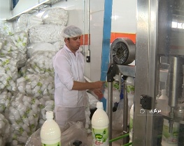 رونق تولید لبنیات به همت کارآفرین زرندیه ای