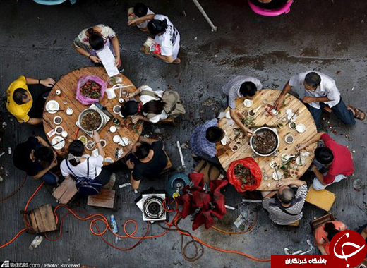 جمع آوری 11 میلیون امضای جهانی برای پایان سگ خوری در چین +تصاویر