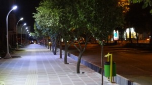 تاکید معاون فرماندار شادگان بر روشنایی معابر