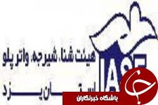 هیئت شنا، شیرجه و واترپلو استان یزد در مسیر پیشرفت