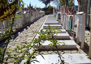 ساماندهی 119 گلزار شهدا در چهارمحال و بختیاری