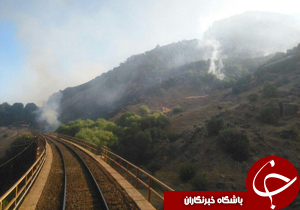 شهروندخبرنگار:آتش پاسارگاد به بیشه رسید + فیلم