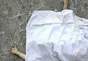 خودکشی دختر جوان دررودخانه زیاران ابیک