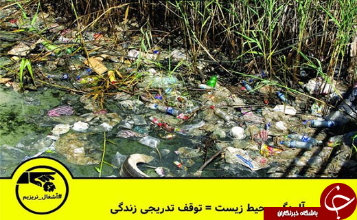 ایده&zwnj;ای که از جوی آب به فضای مجازی رفت