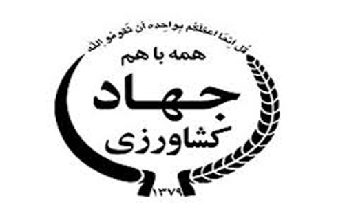 خرید تضمینی جو از کشاورزان خراسان شمالی
