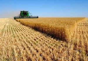 بهره برداری از۳۸  پروژه عمرانی و تولیدی بخش کشاورزی