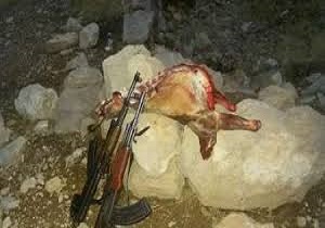 دستگیری 5 گروه از شکارچیان متخلف در کردستان