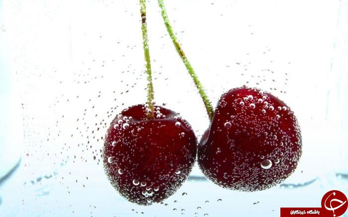 طبیعت سوژه داغ عکاسی ماکرو
