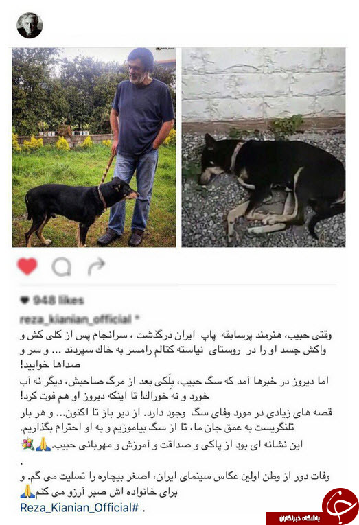 معذرت خواهی رضا کیانیان بخاطر سگ حبیب +اینستاپست