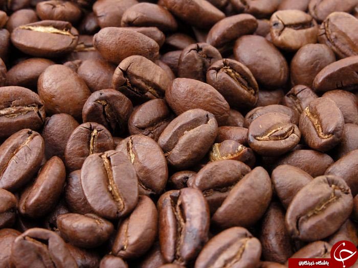 طبیعت ازدریچه دوربین عکاسی ماکرو