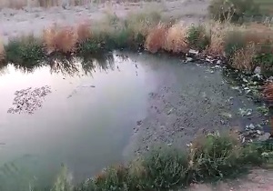محیط زیست قربانی فاضلابی که در آن روان است! + فیلم