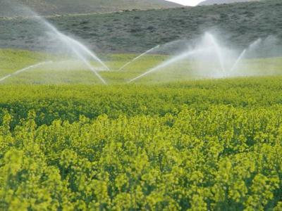 بهره برداری از چندین طرح کشاورزی در همدان