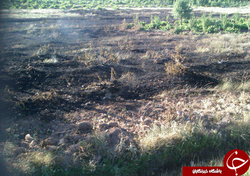 آتش سوزی در باغات ميوه روستای هرچگان+ تصاویر