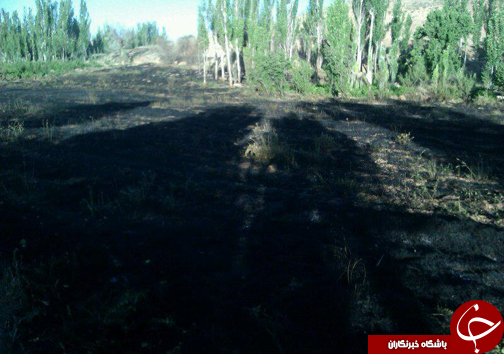 آتش سوزی در باغات ميوه روستای هرچگان+ تصاویر