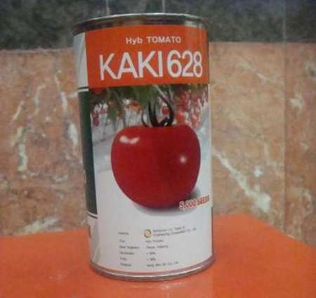 رونمایی از بذرگوجه فرنگی کاکی 628 در استان بوشهر