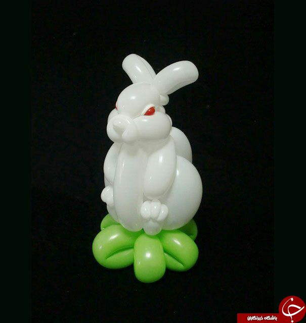 تابه حال حیوانات بادکنکی را دیده اید؟+25 عکس
