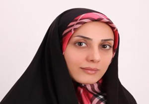 کمیسیون&zwnj;های تخصصی تنها براساس سلایق شعب تشکیل شده است