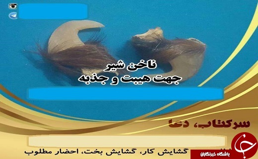 پای ساحران هم به فضای مجازی باز شد/ تلگرام جولانگاه شیادان ساحر