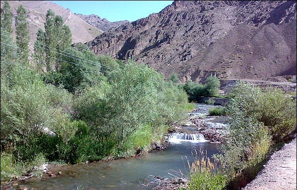 نشت مواد نفتی به پنجمین رودخانه زیبای جهان/چه باید کرد؟