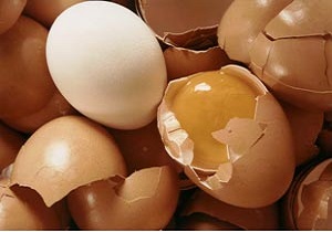 معدومسازی ۱۰۰کیلو گرم تخم مرغ غیرقابل مصرف