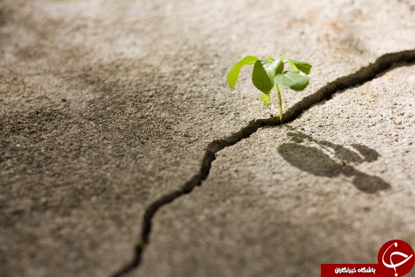یا من آدم خوشبختی&zwnj;ام؟