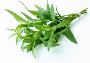 ترخون جایگزین نمک