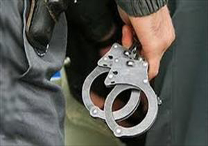 بازداشت یک ایرانی در آمریکا