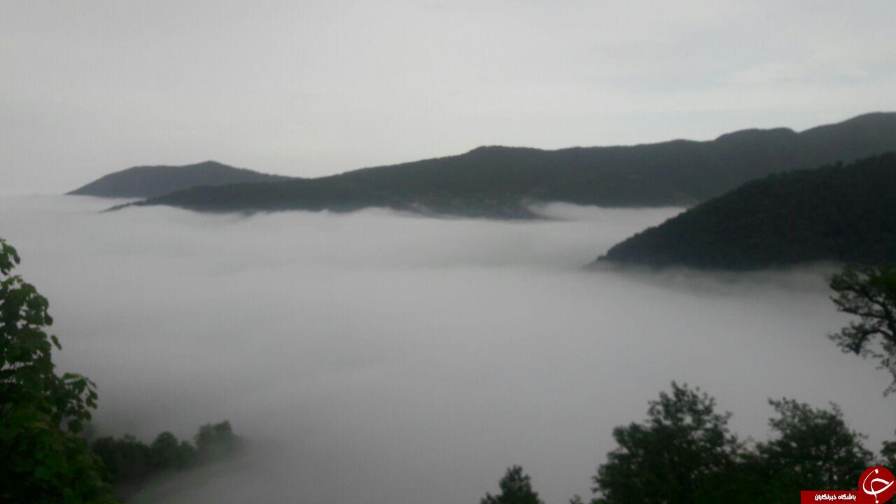 تصاویری زیبا از طبیعت جاده نور