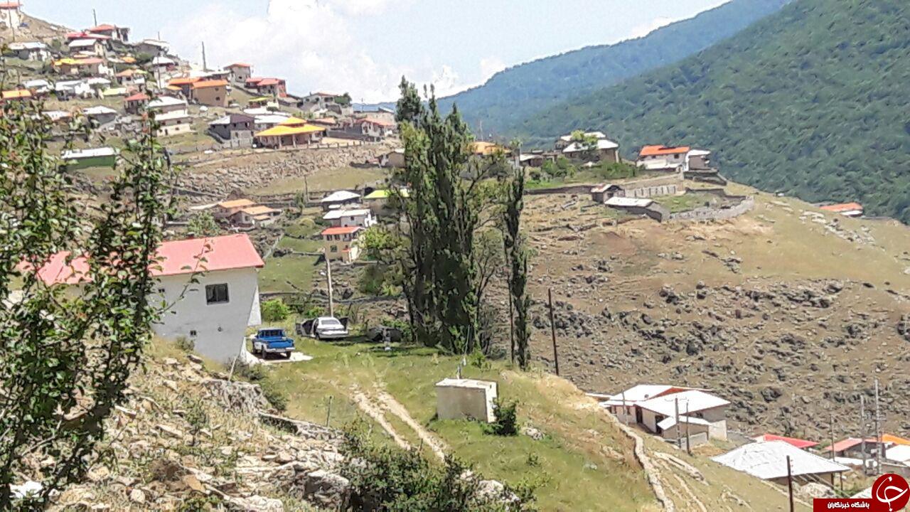 تصاویری زیبا از طبیعت جاده نور
