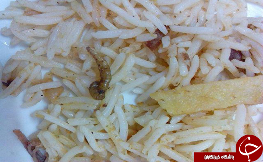 وعده غذایی با طعم کرم +تصاویر