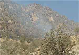 کوه تنوم لرستان آتش گرفت