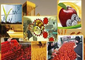 ضایعات کشاورزی با بروزرسانی دستگاه ها به حداقل می رسد