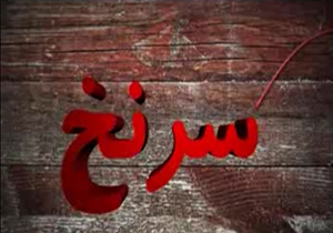 از به تاراج نرفتن ارج  تا کارخانه هاي موفق در اين صنف + فیلم